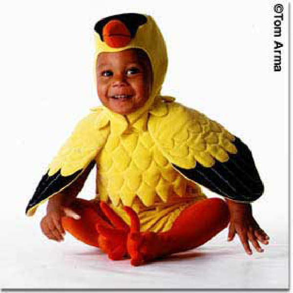 bebe peroquet-humourenvrac